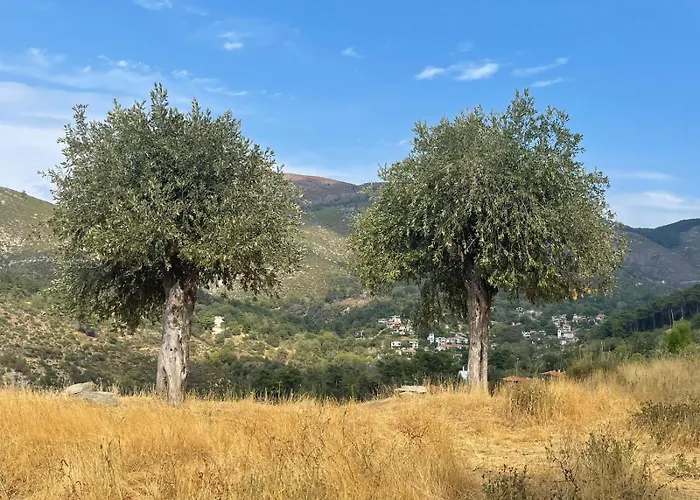 Daire Matias Kastanies With Privat Parking Rachoni (Thasos)