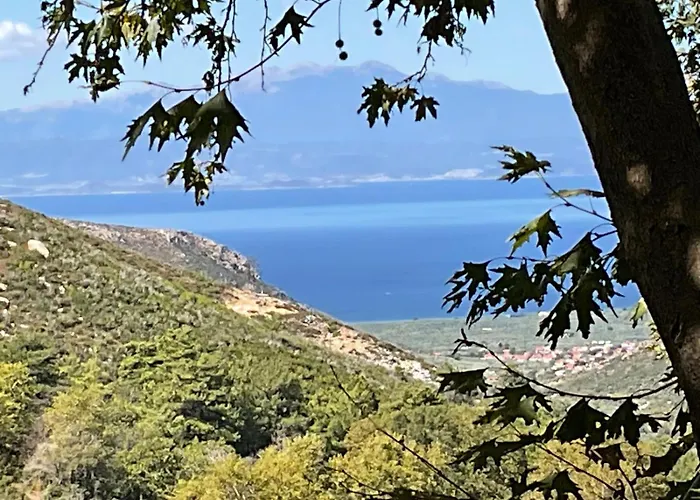 Matias Kastanies With Privat Parking Daire